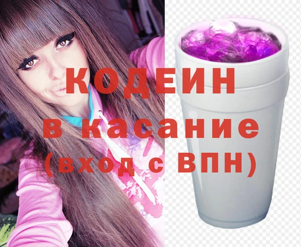 индика Абинск