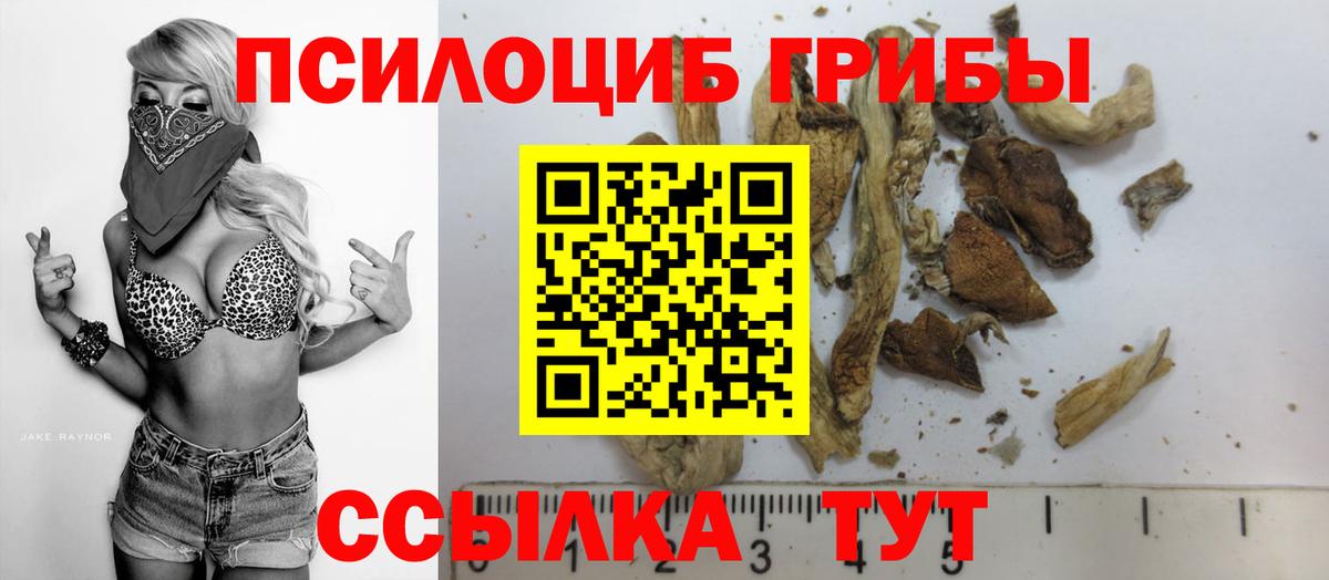 Ртищево  Галлюциногенные грибы Psilocybine cubensis  Галлюциногенные грибы GOLDEN TEACHER  Вход с VPN 