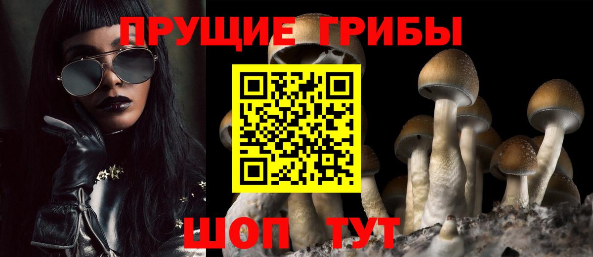 Псилоцибиновые грибы MAGIC MUSHROOMS Ртищево